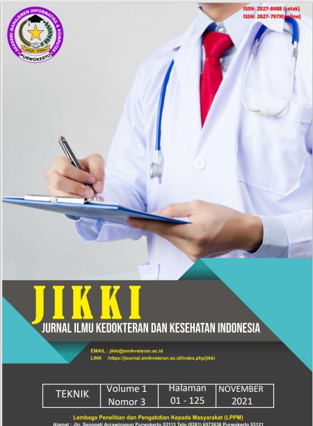 					View Vol. 1 No. 3 (2021): NOVEMBER : Jurnal Ilmu Kedokteran dan Kesehatan Indonesia
				